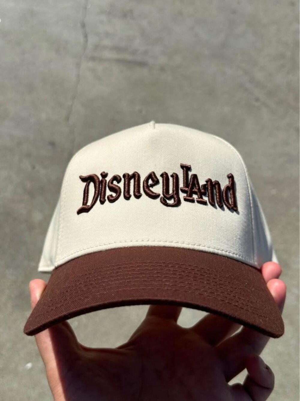 brown disneyland snapback